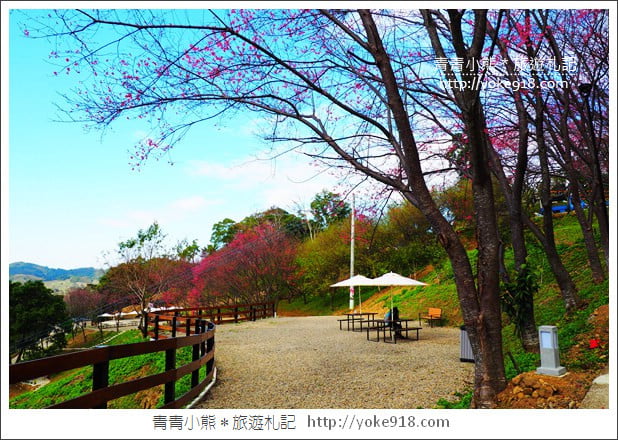 桃園新景點》翠墨莊園．山中櫻花秘境~新增設造景及兒童沙坑、戲水池 @青青小熊＊旅遊札記