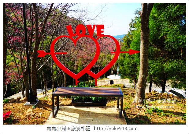 桃園新景點》翠墨莊園．山中櫻花秘境~新增設造景及兒童沙坑、戲水池 @青青小熊＊旅遊札記