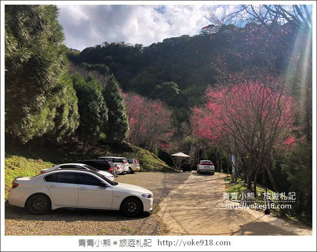 桃園新景點》翠墨莊園．山中櫻花秘境~新增設造景及兒童沙坑、戲水池 @青青小熊＊旅遊札記