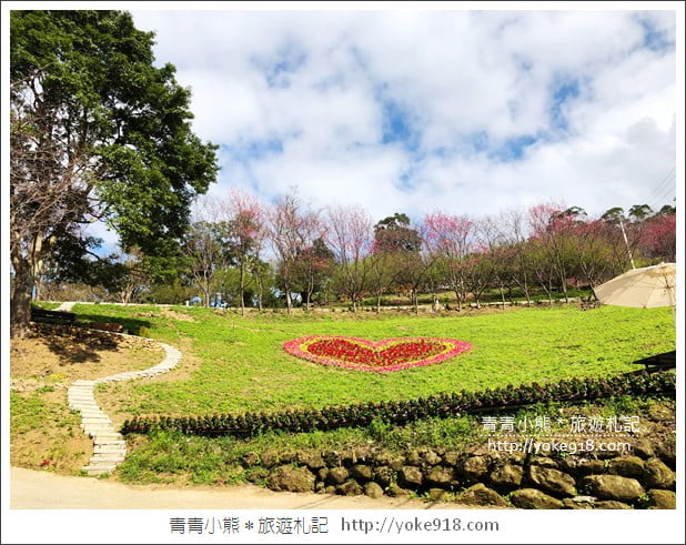 桃園新景點》翠墨莊園．山中櫻花秘境~新增設造景及兒童沙坑、戲水池 @青青小熊＊旅遊札記