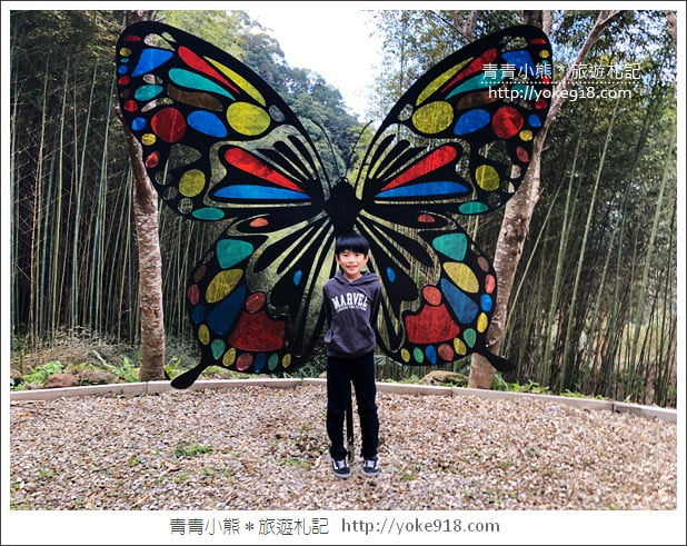 桃園新景點》翠墨莊園．山中櫻花秘境~新增設造景及兒童沙坑、戲水池 @青青小熊＊旅遊札記