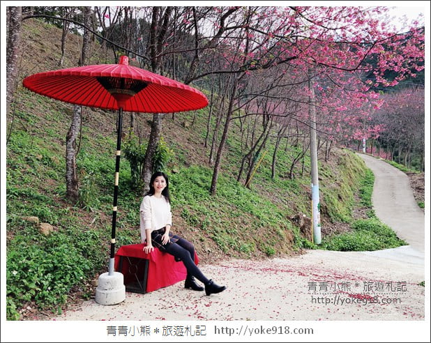 桃園新景點》翠墨莊園．山中櫻花秘境~新增設造景及兒童沙坑、戲水池 @青青小熊＊旅遊札記