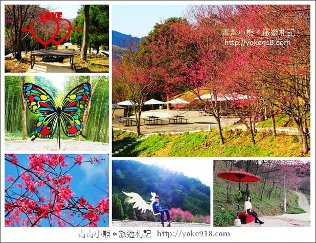 桃園新景點》翠墨莊園．山中櫻花秘境~新增設造景及兒童沙坑、戲水池 @青青小熊＊旅遊札記