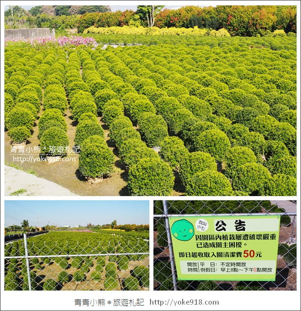 彰化景點》2026彰化一日遊怎麼玩.行程、景點美食一網打盡 @青青小熊*旅遊札記 彰化景點》2026彰化一日遊怎麼玩.行程、景點美食一網打盡 @青青小熊*旅遊札記