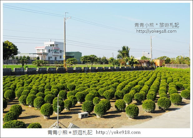 彰化景點》2026彰化一日遊怎麼玩.行程、景點美食一網打盡 @青青小熊*旅遊札記 彰化景點》2026彰化一日遊怎麼玩.行程、景點美食一網打盡 @青青小熊*旅遊札記