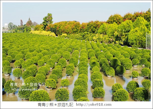 彰化景點》2026彰化一日遊怎麼玩.行程、景點美食一網打盡 @青青小熊*旅遊札記 彰化景點》2026彰化一日遊怎麼玩.行程、景點美食一網打盡 @青青小熊*旅遊札記