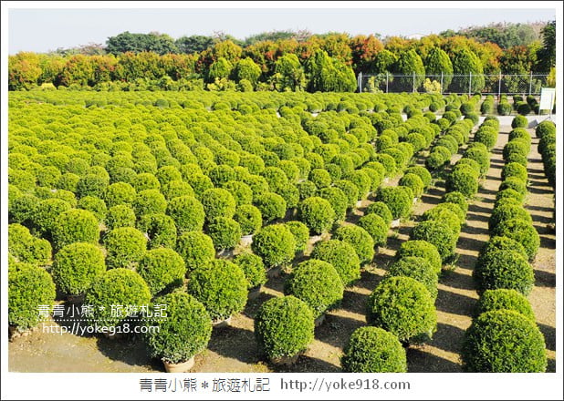 彰化景點》2026彰化一日遊怎麼玩.行程、景點美食一網打盡 @青青小熊*旅遊札記 彰化景點》2026彰化一日遊怎麼玩.行程、景點美食一網打盡 @青青小熊*旅遊札記