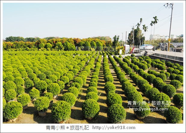 彰化景點》2026彰化一日遊怎麼玩.行程、景點美食一網打盡 @青青小熊*旅遊札記 彰化景點》2026彰化一日遊怎麼玩.行程、景點美食一網打盡 @青青小熊*旅遊札記