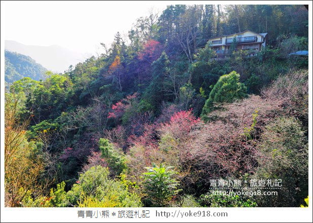 苗栗景點》南庄山行玫瑰景觀餐廳．隱藏在苗栗山中的桃花源 @青青小熊＊旅遊札記