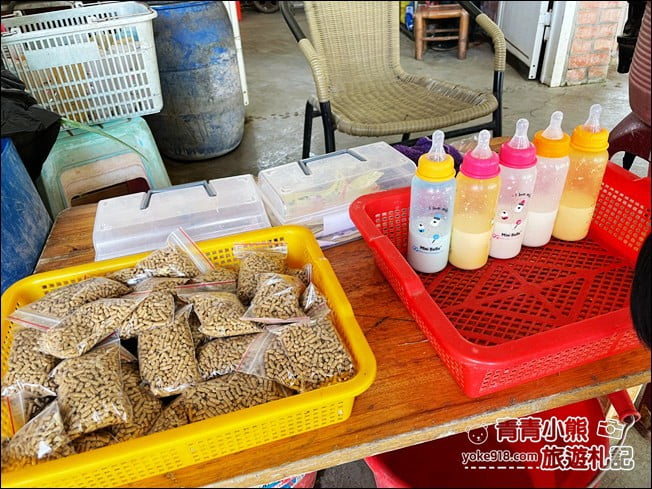 台南景點》柳營八老爺車站-乳牛的家~親子同遊推薦，來找小動物一起玩耍 @青青小熊＊旅遊札記