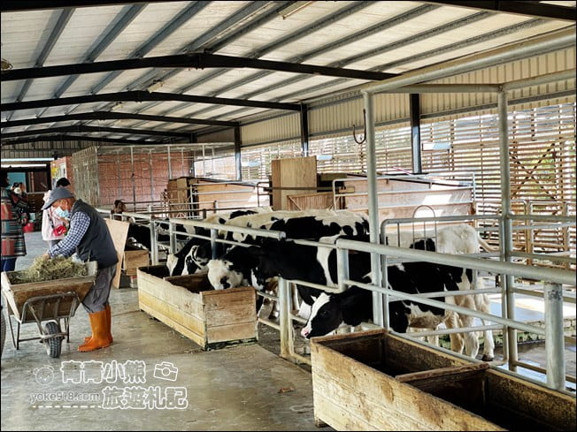 台南景點》柳營八老爺車站-乳牛的家~親子同遊推薦,來找小動物一起玩耍 @青青小熊*旅遊札記 台南景點》柳營八老爺車站-乳牛的家~親子同遊推薦,來找小動物一起玩耍 @青青小熊*旅遊札記