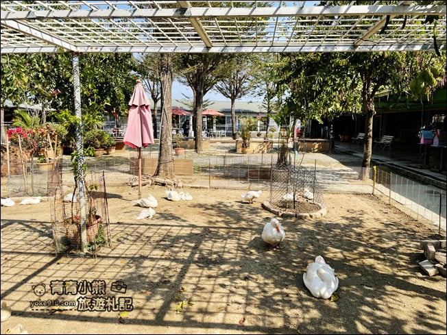台南景點》柳營八老爺車站-乳牛的家~親子同遊推薦,來找小動物一起玩耍 @青青小熊*旅遊札記 台南景點》柳營八老爺車站-乳牛的家~親子同遊推薦,來找小動物一起玩耍 @青青小熊*旅遊札記