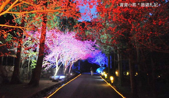 賞櫻景點推薦》全台瘋櫻花.賞櫻花好去處~春節連假出遊推薦 @青青小熊*旅遊札記 賞櫻景點推薦》全台瘋櫻花.賞櫻花好去處~春節連假出遊推薦 @青青小熊*旅遊札記