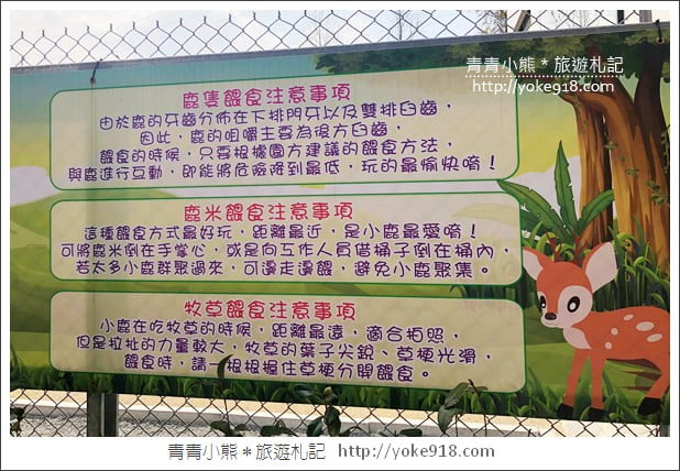 宜蘭新景點》張美阿嬤農場．超可愛梅花鹿~可以近距離接觸餵食 @青青小熊＊旅遊札記