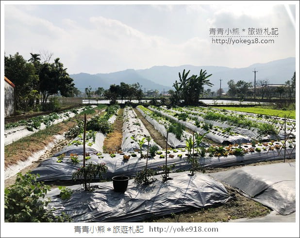 宜蘭新景點》張美阿嬤農場．超可愛梅花鹿~可以近距離接觸餵食 @青青小熊＊旅遊札記