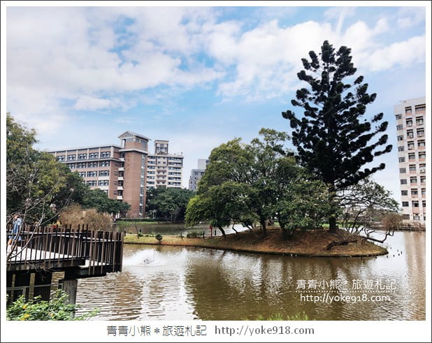 桃園賞櫻景點》中央大學櫻花．遇見粉嫩河津櫻~中大湖旁櫻花 @青青小熊＊旅遊札記