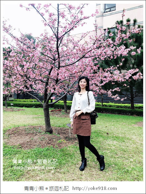 桃園賞櫻景點》中央大學櫻花.遇見粉嫩河津櫻~中大湖旁櫻花 @青青小熊*旅遊札記 桃園賞櫻景點》中央大學櫻花.遇見粉嫩河津櫻~中大湖旁櫻花 @青青小熊*旅遊札記