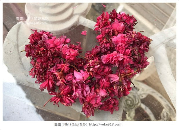 苗栗景點》三義藝術村櫻花渡假會館.桃紅八重櫻浪漫盛開中 @青青小熊*旅遊札記 苗栗景點》三義藝術村櫻花渡假會館.桃紅八重櫻浪漫盛開中 @青青小熊*旅遊札記