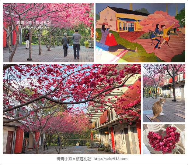 苗栗景點》三義藝術村櫻花渡假會館.桃紅八重櫻浪漫盛開中 @青青小熊*旅遊札記 苗栗景點》三義藝術村櫻花渡假會館.桃紅八重櫻浪漫盛開中 @青青小熊*旅遊札記
