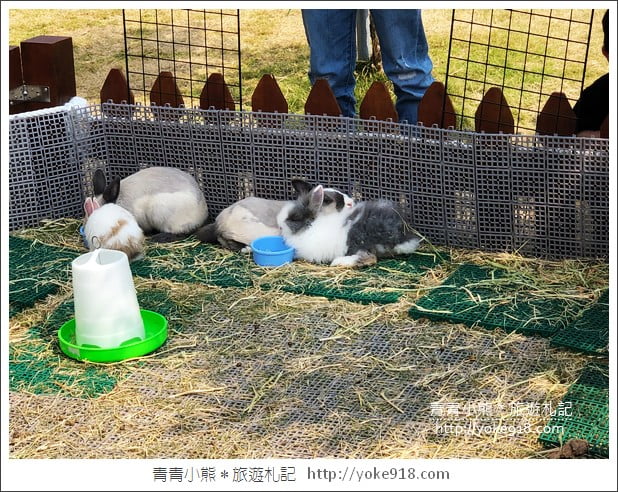 屏東亮點》艾米達精靈谷茶樹莊園~誤闖精靈谷,超夢幻可愛的精靈世界 @青青小熊*旅遊札記 屏東亮點》艾米達精靈谷茶樹莊園~誤闖精靈谷,超夢幻可愛的精靈世界 @青青小熊*旅遊札記