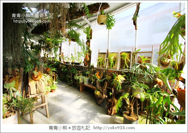 嘉義景點》梅山空氣圖書館.早午餐~近太平老街的放空拍照景點 @青青小熊*旅遊札記 嘉義景點》梅山空氣圖書館.早午餐~近太平老街的放空拍照景點 @青青小熊*旅遊札記