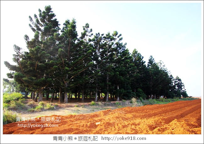 台中沙鹿新景點》黑森林景觀咖啡.台中最新夜景餐廳~三角建築好吸睛 @青青小熊*旅遊札記 台中沙鹿新景點》黑森林景觀咖啡.台中最新夜景餐廳~三角建築好吸睛 @青青小熊*旅遊札記