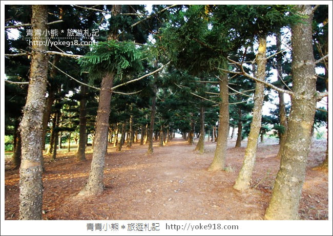 台中沙鹿新景點》黑森林景觀咖啡．台中最新夜景餐廳~三角建築好吸睛 @青青小熊＊旅遊札記