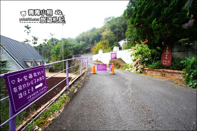 嘉義瑞里景點》阿喜紫藤民宿 下午茶花園~賞花喝下午茶，季節限定必訪紫藤景點 @青青小熊＊旅遊札記