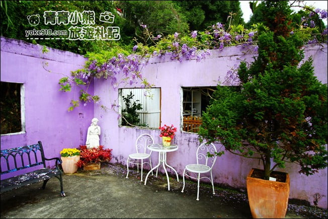 嘉義瑞里景點》阿喜紫藤民宿 下午茶花園~賞花喝下午茶，季節限定必訪紫藤景點 @青青小熊＊旅遊札記