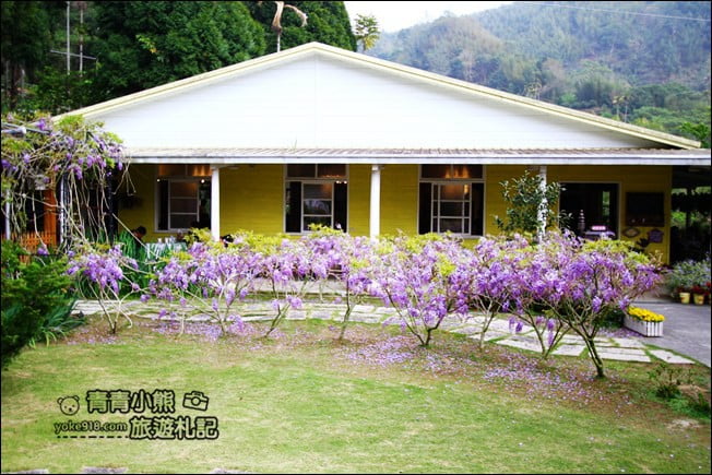 嘉義瑞里景點》阿喜紫藤民宿 下午茶花園~賞花喝下午茶，季節限定必訪紫藤景點 @青青小熊＊旅遊札記