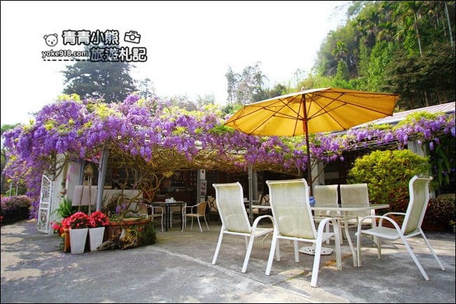 嘉義瑞里景點》阿喜紫藤民宿 下午茶花園~賞花喝下午茶，季節限定必訪紫藤景點 @青青小熊＊旅遊札記