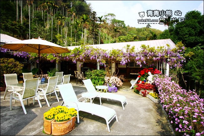 嘉義瑞里景點》阿喜紫藤民宿 下午茶花園~賞花喝下午茶，季節限定必訪紫藤景點 @青青小熊＊旅遊札記