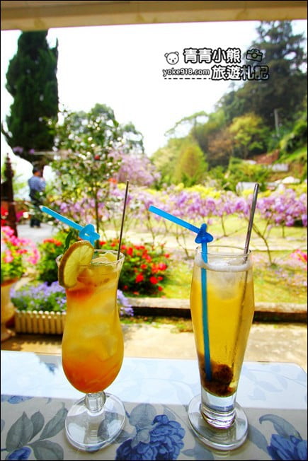 嘉義瑞里景點》阿喜紫藤民宿 下午茶花園~賞花喝下午茶，季節限定必訪紫藤景點 @青青小熊＊旅遊札記