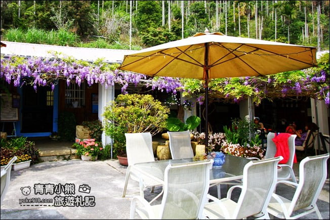 嘉義瑞里景點》阿喜紫藤民宿 下午茶花園~賞花喝下午茶，季節限定必訪紫藤景點 @青青小熊＊旅遊札記