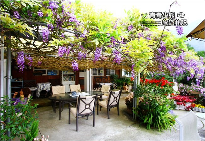 嘉義瑞里景點》阿喜紫藤民宿 下午茶花園~賞花喝下午茶，季節限定必訪紫藤景點 @青青小熊＊旅遊札記