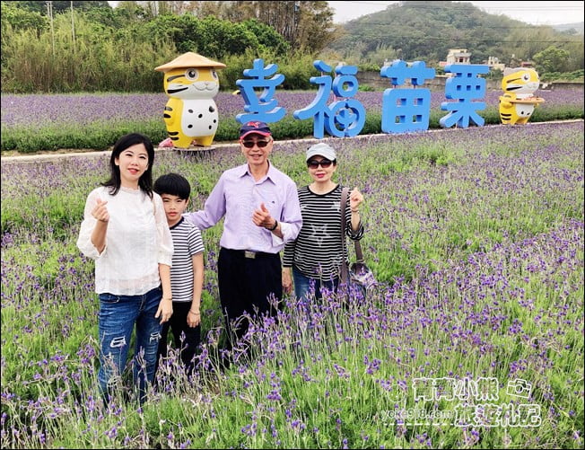 苗栗季節限定新景點》美滿有機農場．紫現西湖~浪漫薰衣草花田，充滿香氣的紫色風暴 @青青小熊＊旅遊札記