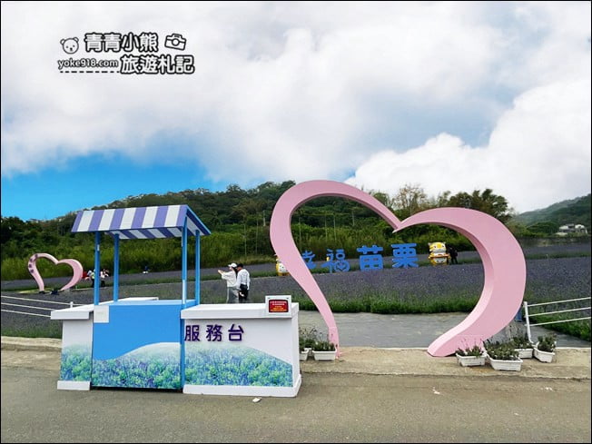 苗栗季節限定新景點》美滿有機農場.紫現西湖~浪漫薰衣草花田,充滿香氣的紫色風暴 @青青小熊*旅遊札記 苗栗季節限定新景點》美滿有機農場.紫現西湖~浪漫薰衣草花田,充滿香氣的紫色風暴 @青青小熊*旅遊札記