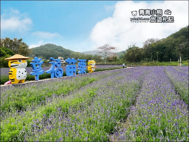苗栗季節限定新景點》美滿有機農場.紫現西湖~浪漫薰衣草花田,充滿香氣的紫色風暴 @青青小熊*旅遊札記 苗栗季節限定新景點》美滿有機農場.紫現西湖~浪漫薰衣草花田,充滿香氣的紫色風暴 @青青小熊*旅遊札記