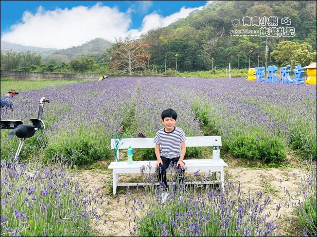 苗栗季節限定新景點》美滿有機農場.紫現西湖~浪漫薰衣草花田,充滿香氣的紫色風暴 @青青小熊*旅遊札記 苗栗季節限定新景點》美滿有機農場.紫現西湖~浪漫薰衣草花田,充滿香氣的紫色風暴 @青青小熊*旅遊札記