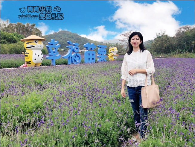 苗栗季節限定新景點》美滿有機農場.紫現西湖~浪漫薰衣草花田,充滿香氣的紫色風暴 @青青小熊*旅遊札記 苗栗季節限定新景點》美滿有機農場.紫現西湖~浪漫薰衣草花田,充滿香氣的紫色風暴 @青青小熊*旅遊札記