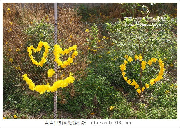 嘉義賞花景點》嘉義仁義路．黃花風鈴木大道，超美的黃花大爆發 @青青小熊＊旅遊札記