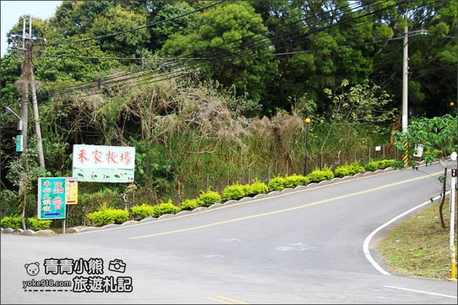彰化景點》七彩九重葛&禾家牧場~139縣道上的季節限定九重葛 @青青小熊＊旅遊札記