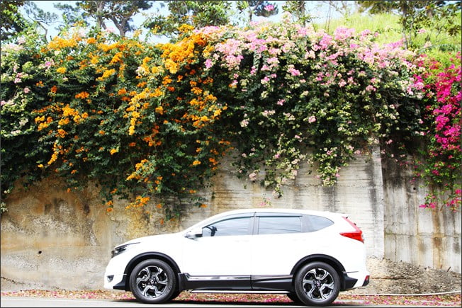 彰化景點》七彩九重葛&禾家牧場~139縣道上的季節限定九重葛 @青青小熊*旅遊札記 彰化景點》七彩九重葛&禾家牧場~139縣道上的季節限定九重葛 @青青小熊*旅遊札記