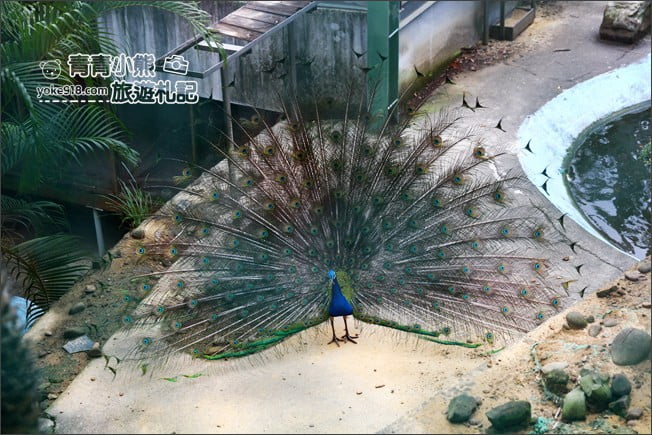 苗栗景點》品園．7000坪豪宅日式庭園~免費參觀散步去 @青青小熊＊旅遊札記