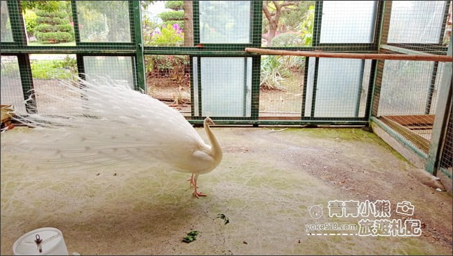苗栗景點》品園．7000坪豪宅日式庭園~免費參觀散步去 @青青小熊＊旅遊札記