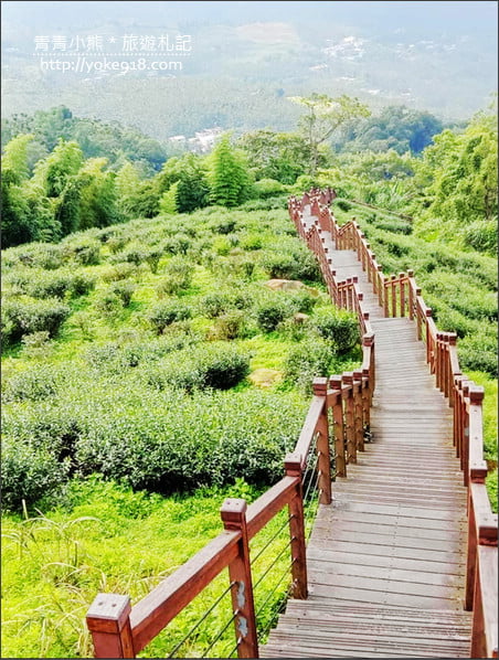 嘉義梅山景點》梅山一日遊怎麼玩？情侶.親子必玩景點~梅山路線行程推薦 @青青小熊＊旅遊札記