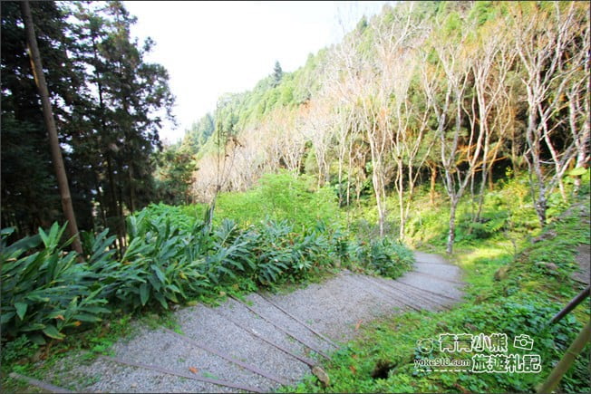 嘉義景點》寒溪呢森林人文叡地．隱藏在梅山山中的美景 @青青小熊＊旅遊札記