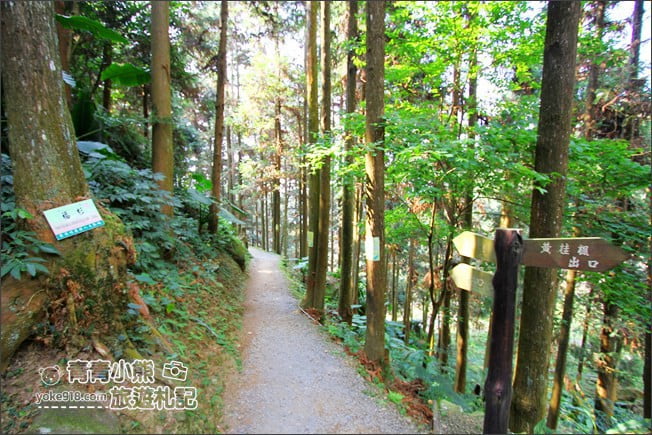 嘉義景點》寒溪呢森林人文叡地.隱藏在梅山山中的美景 @青青小熊*旅遊札記 嘉義景點》寒溪呢森林人文叡地.隱藏在梅山山中的美景 @青青小熊*旅遊札記