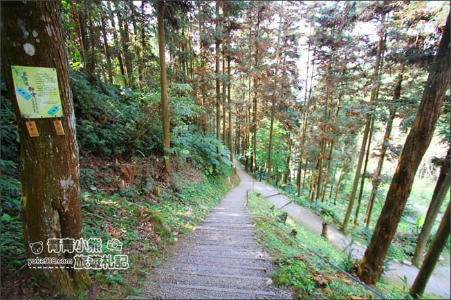 嘉義景點》寒溪呢森林人文叡地.隱藏在梅山山中的美景 @青青小熊*旅遊札記 嘉義景點》寒溪呢森林人文叡地.隱藏在梅山山中的美景 @青青小熊*旅遊札記