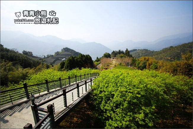嘉義梅山景點》梅山一日遊怎麼玩？情侶.親子必玩景點~梅山路線行程推薦 @青青小熊＊旅遊札記
